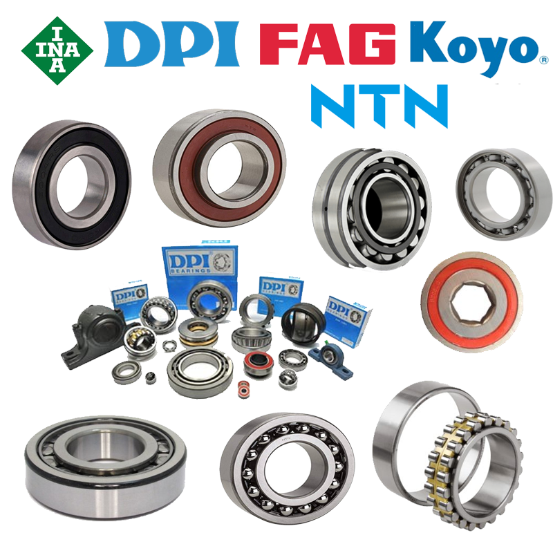 Marcas Líderes INA FAG